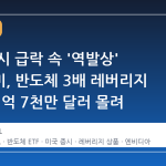 미국 증시 급락 속 '역발상' 서학개미, 반도체 3배 레버리지 ETF에 1억 7천만 달러 몰려