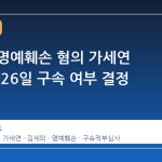 김수현 명예훼손 혐의 가세연 김세의, 26일 구속 여부 결정