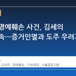 김수현 명예훼손 사건, 김세의 대표 구속…증거인멸과 도주 우려가 결정적