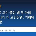 맨손으로 교미 중인 뱀 두 마리 잡은 케네디 미 보건장관, 기행에 시선 집중