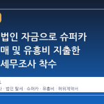 국세청, 법인 자금으로 슈퍼카 45대 구매 및 유흥비 지출한 19개사 세무조사 착수