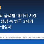 중국 제외 글로벌 배터리 시장 17.4% 성장 속 한국 3사의 역성장, 왜일까