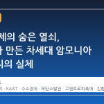 수소 경제의 숨은 열쇠, KAIST가 만든 차세대 암모니아 연료전지의 실체