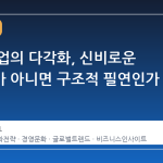 일본 기업의 다각화, 신비로운 전략인가 아니면 구조적 필연인가