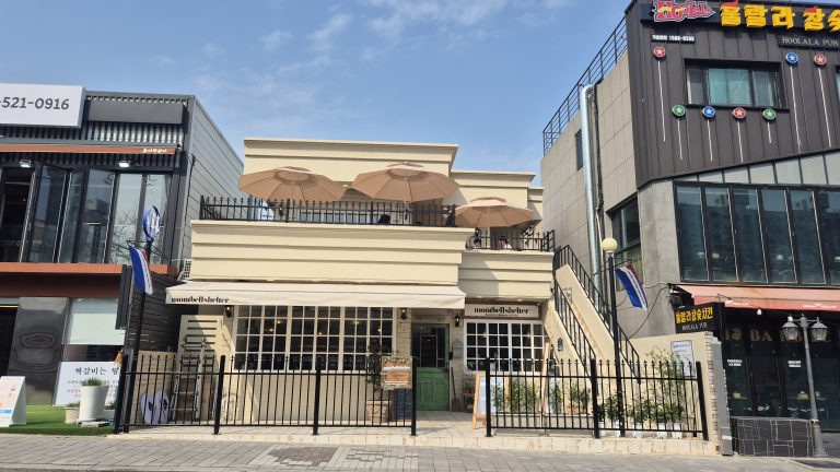 부산 동래 온천천 벚꽃길 옆, 몽벨쉘터에서 즐기는 베이커리와 풍경