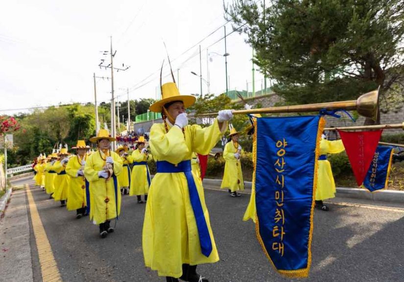 2026 양산웅상회야제, 역사와 물놀이가 공존하는 하이브리드 여름축제의 모든 것