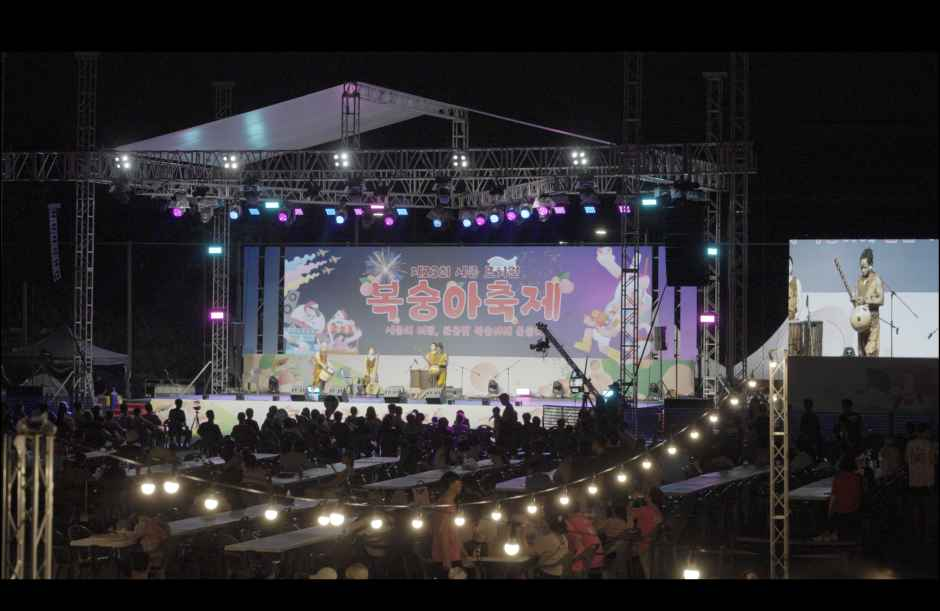 세종 조치원 복숭아 축제 2026, 역사상 첫 블랙호크 헬기 체험과 K-POP 댄스 무대까지