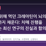 근육을 위해 먹던 크레아틴이 뇌의 에너지까지 채운다: 치매 진행을 늦춘다는 최신 연구의 진실과 함의