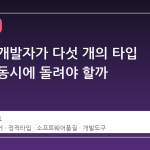 파이썬 개발자가 다섯 개의 타입 체커를 동시에 돌려야 할까