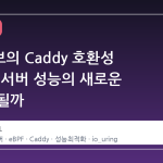 제로서브의 Caddy 호환성 등판, 웹서버 성능의 새로운 기준이 될까