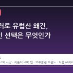 8 천 달러로 유럽산 왜건, 현실적인 선택은 무엇인가