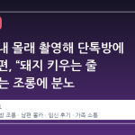 만삭 아내 몰래 촬영해 단톡방에 올린 남편, “돼지 키우는 줄 알았다”는 조롱에 분노