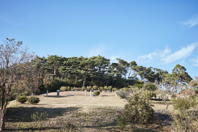 당진 남이흥장군문화제, 2026년 국가지원 선정으로 격상된 제의와 새로운 변화
