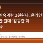 편의점 반숙계란 2천원대, 온라인 30개 2만 원대 '감동란'이 뜨는 이유