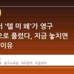 스팀에서 '텔 미 왜'가 영구 소유권으로 풀렸다, 지금 놓치면 안 되는 이유