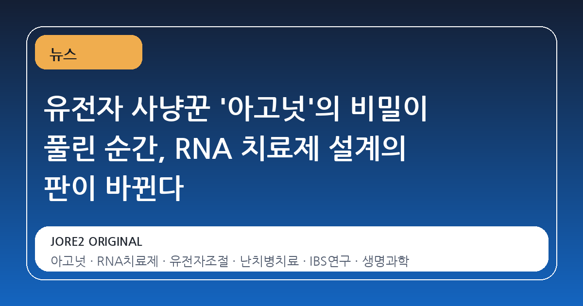 유전자 사냥꾼 '아고넛'의 비밀이 풀린 순간, RNA 치료제 설계의 판이 바뀐다