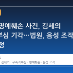 김수현 명예훼손 사건, 김세의 구속적부심 기각…법원, 음성 조작 사실 인정