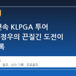 17 년 연속 KLPGA 투어 무대, 임정우의 끈질긴 도전이 만든 기록