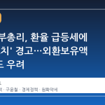 구윤철 부총리, 환율 급등세에 '즉시 조치' 경고…외환보유액 감소세도 우려