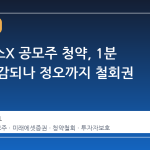 스페이스X 공모주 청약, 1분 만에 마감되나 정오까지 철회권 부여