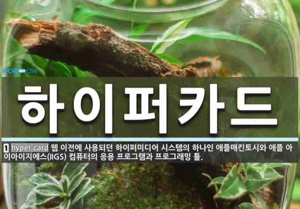 과거의 감성으로 미래를 만나다, 멀티미디어 플랫폼 디커가 주목받는 이유
