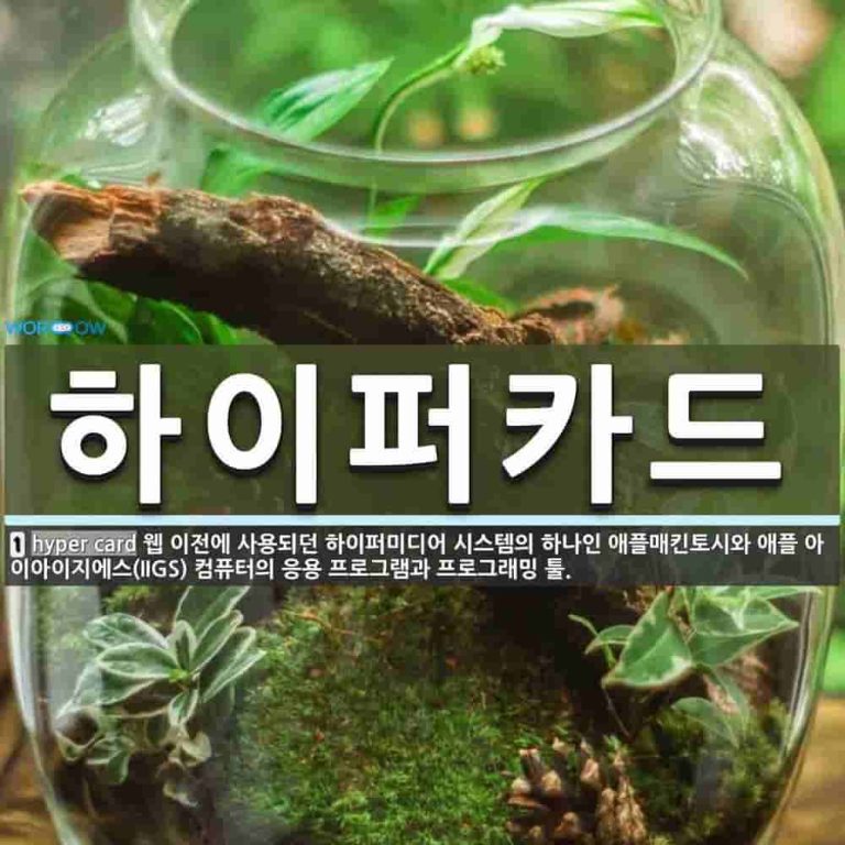 과거의 감성으로 미래를 만나다, 멀티미디어 플랫폼 디커가 주목받는 이유