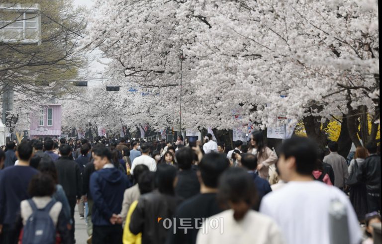 도구로 가을 축제