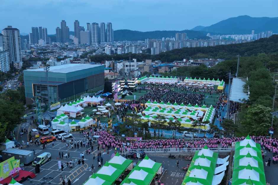 2026 대구앞산축제, 7 월 초 도심 속 물놀이와 커피 향이 만나다
