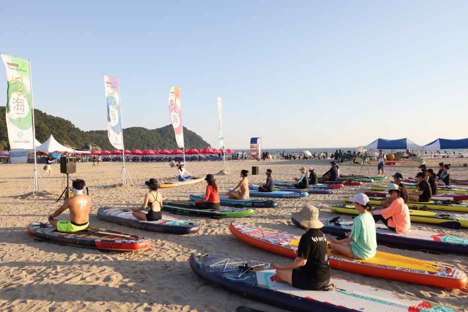 2026 키마위크, 다대포 해변에서 만나는 해양레저의 여름