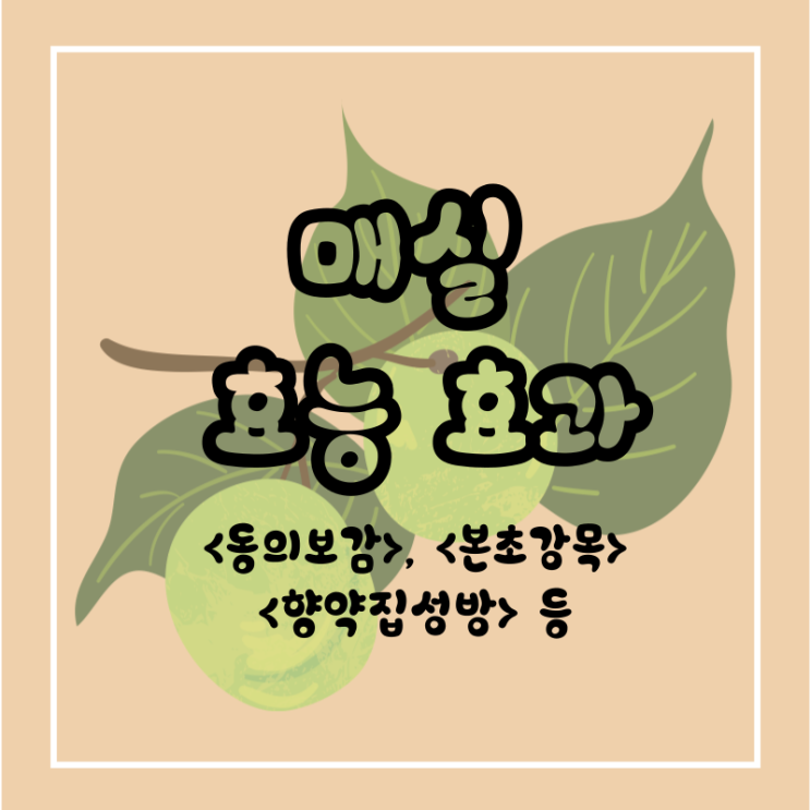 한의사가 만든 3증 3포 매실, 왜 지금 다시 주목받을까