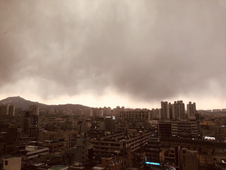 서울 삼일간의 날씨 변동, 무더위와 소나기의 교차로 일상 계획이 흔들리는 이유