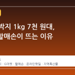 통영 석박지 1kg 7천 원대, G마켓 할매손이 뜨는 이유