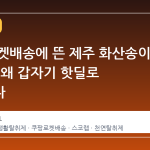 쿠팡 로켓배송에 뜬 제주 화산송이 탈취제, 왜 갑자기 핫딜로 떠올랐나