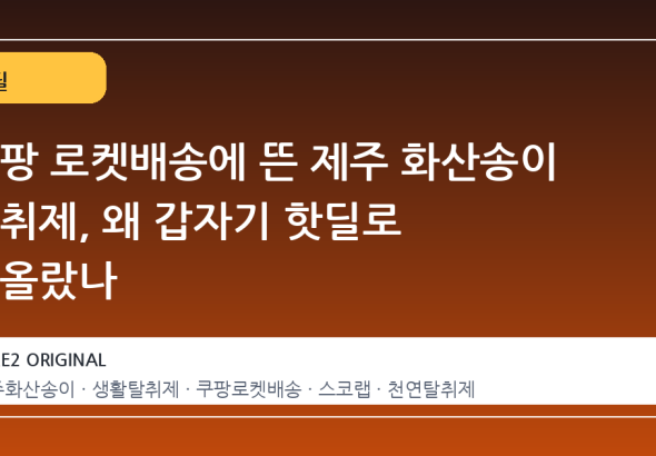쿠팡 로켓배송에 뜬 제주 화산송이 탈취제, 왜 갑자기 핫딜로 떠올랐나