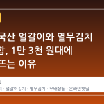 지마켓 국산 얼갈이와 열무김치 5kg 조합, 1만 3천 원대에 무배로 뜨는 이유