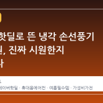 네이버 핫딜로 뜬 냉각 손선풍기 9,800원, 진짜 시원한지 따져봤다