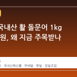 G마켓 국내산 활 돌문어 1kg 17,900원, 왜 지금 주목받나
