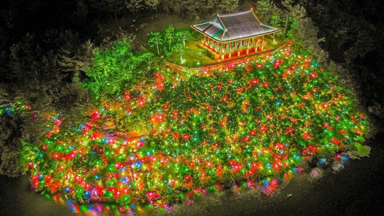 겨울밤을 수놓는 빛의 향연, 2026 빛으로 만나는 문화축제 안내