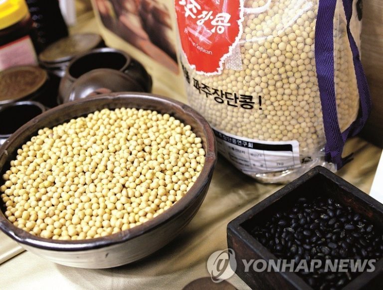 제30회 파주장단콩축제, 11월 말 임진각에서 열려