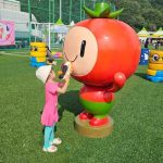2026 둔내고랭지토마토축제, 8월 14일 개막…물놀이와 토마토 체험이 만나는 횡성의 여름