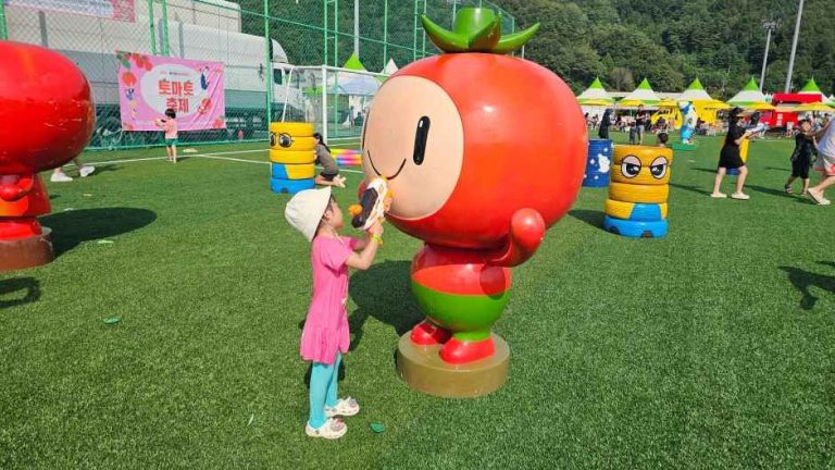 2026 둔내고랭지토마토축제, 8월 14일 개막…물놀이와 토마토 체험이 만나는 횡성의 여름