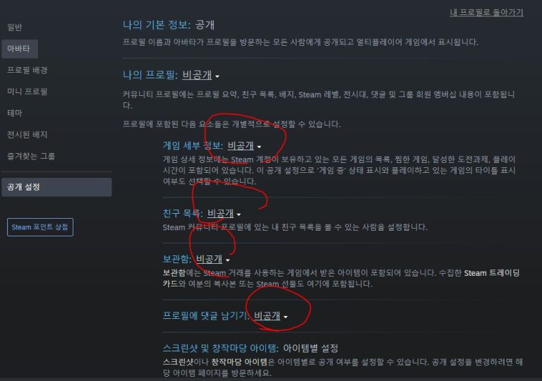 스팀 친구 목록에서 레벨이 사라진 사용자, 숨겨진 설정의 비밀