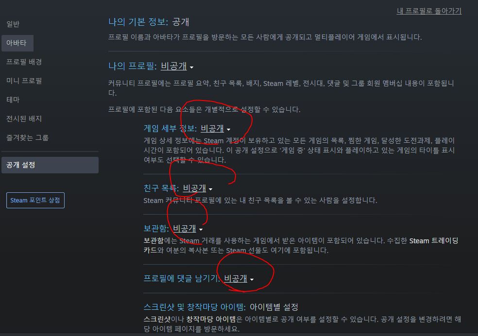 스팀 친구 목록에서 레벨이 사라진 사용자, 숨겨진 설정의 비밀