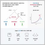 네안데르탈인의 유전자가 현대인의 근육량을 결정한다