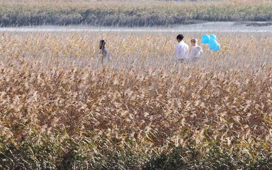 강진만 춤추는 갈대축제, 10월 24일부터 11월 1일까지 생태공원길에서 열려