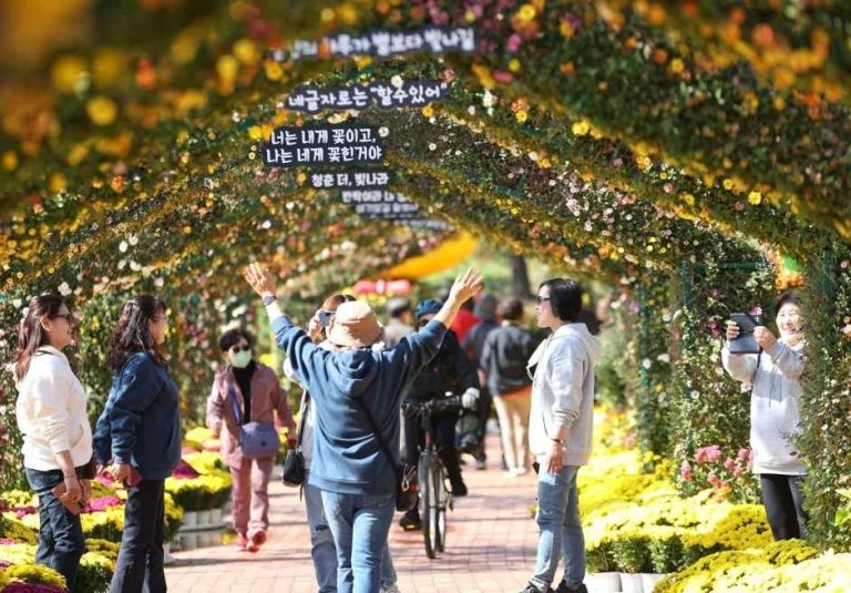 2026 유성국화축제, 10월 17일부터 11월 1일까지 대전 유림공원 일원에서 개최