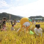 2026 성주가야산황금들녘메뚜기축제, 10월 3일과 4일 수륜면에서 열려