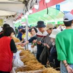 2026 영주 풍기인삼축제, 10월 3일부터 11일까지 남원천 일원에서 개최