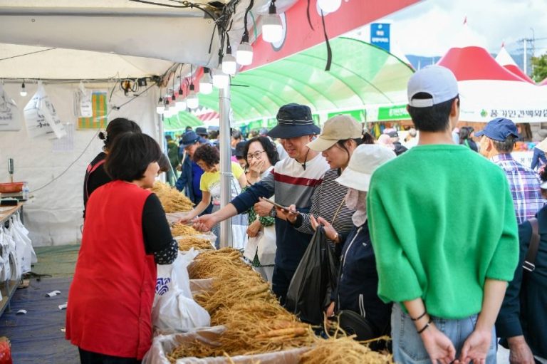 2026 영주 풍기인삼축제, 10월 3일부터 11일까지 남원천 일원에서 개최