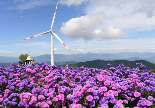 거창 감악산 꽃별 여행, 9월 18일부터 10월 11일까지 별바람언덕에서 개최